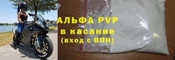 СК Новозыбков