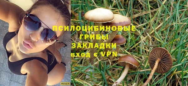 героин Алексин