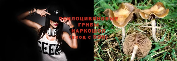 героин Алексин